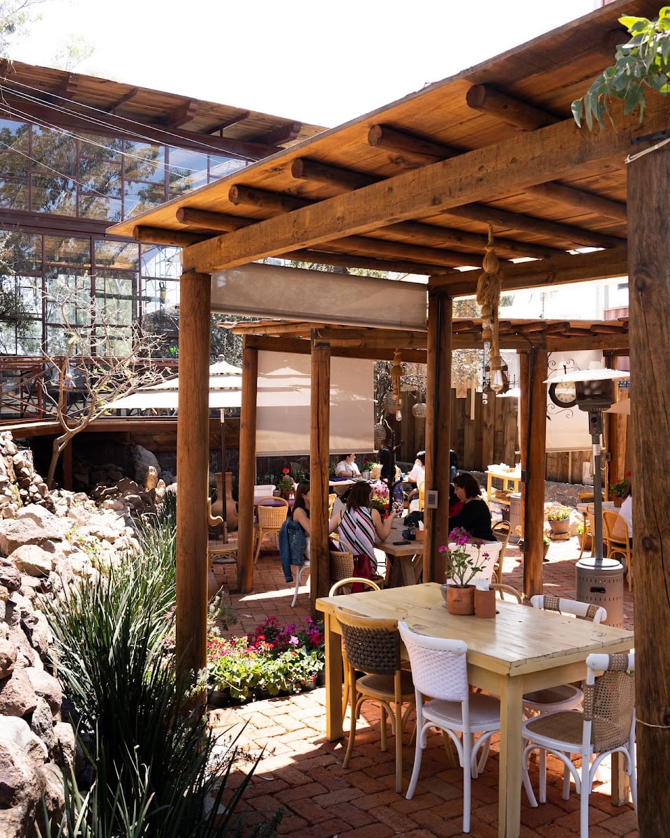 Desayunos BOSC - Leon Guanajuato