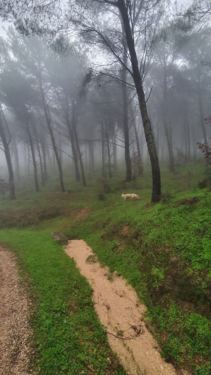 Montagna Grande