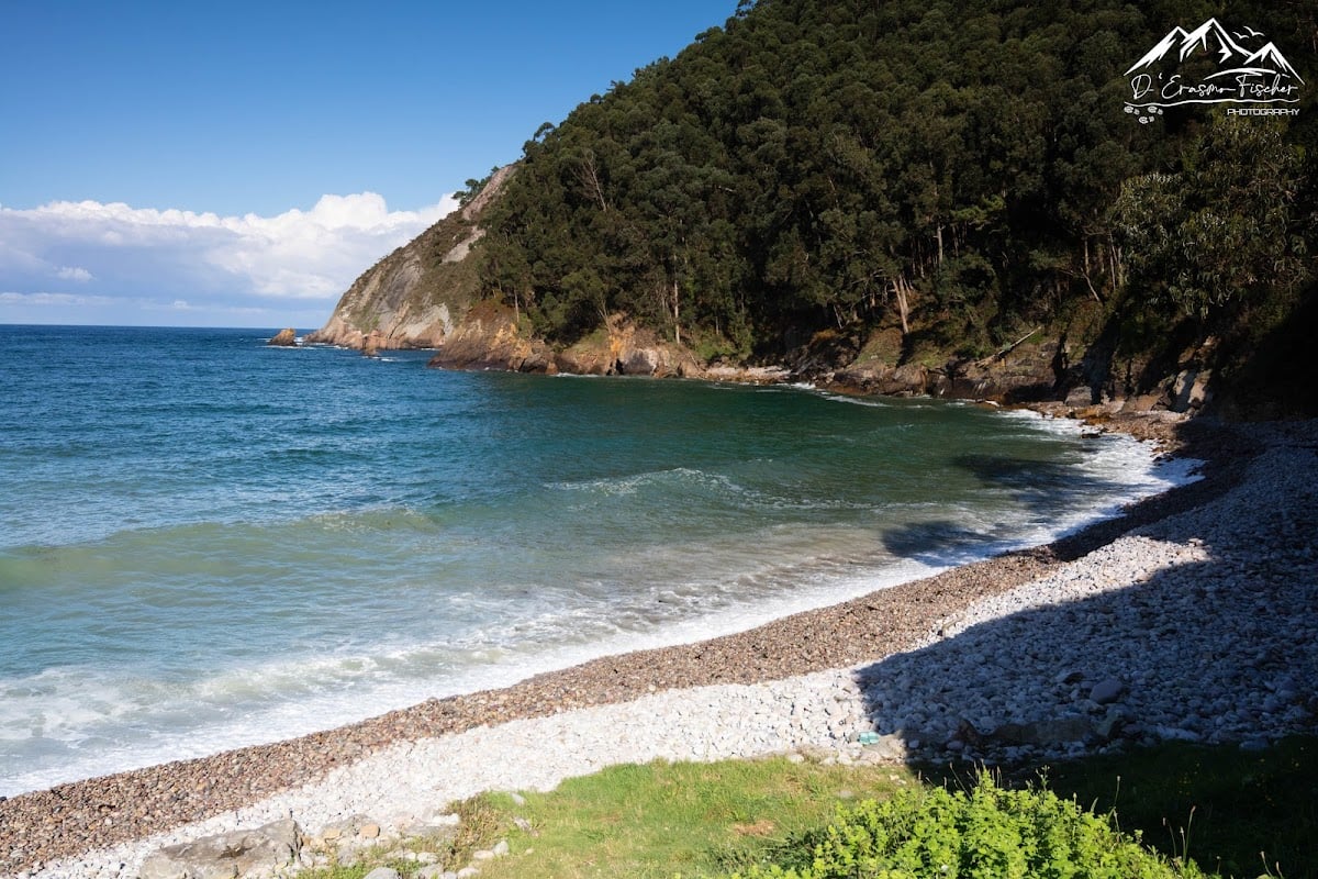 Playa de la Concha de Artedo