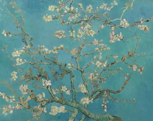 Almond Blossom