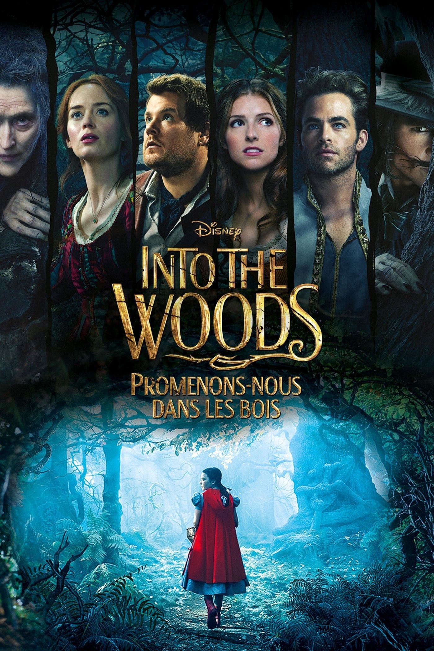 Into the Woods : Promenons-nous dans les bois - Rob Marshall · 2014