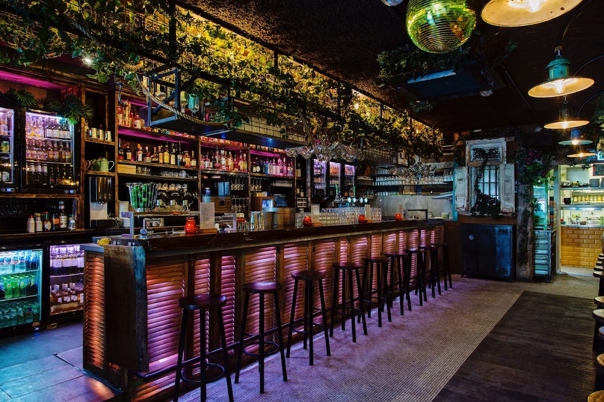 Gloria's (de Tulp)