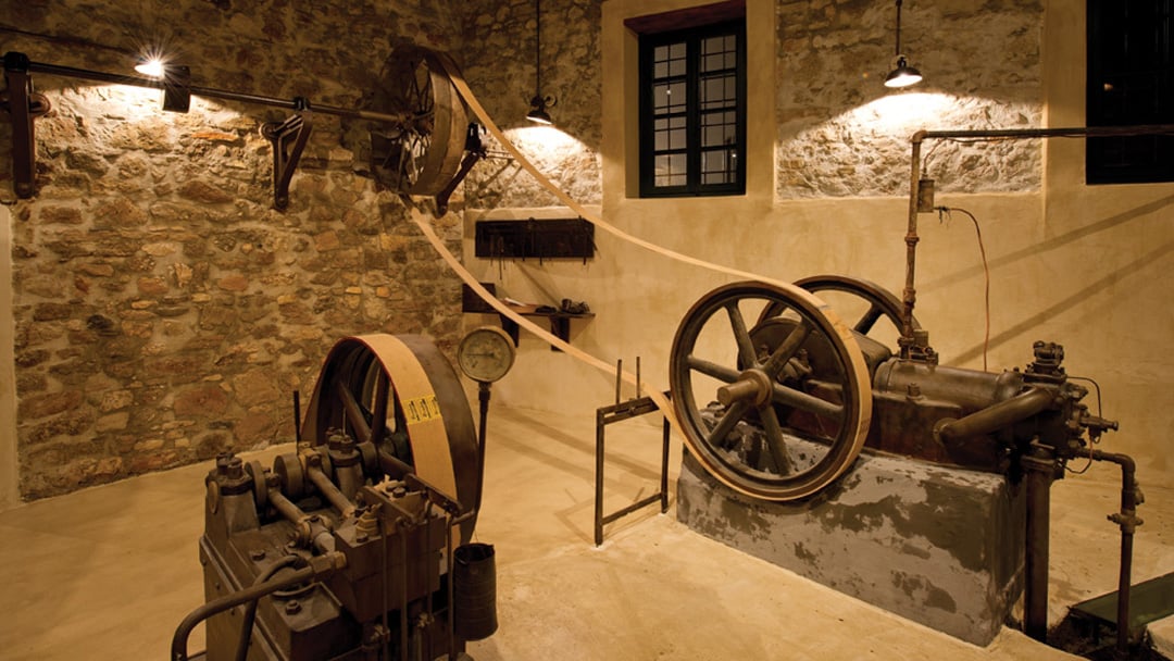 Paragaea Old Olive Oil Factory - Tour and tasting