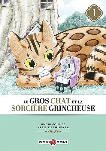 Le gros chat et la sorcière grincheuse - Hiro Kashiwaba · 2023