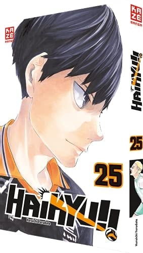 Haikyuu!! - Haruichi Furudate · 2021