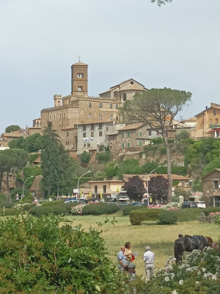 Sutri