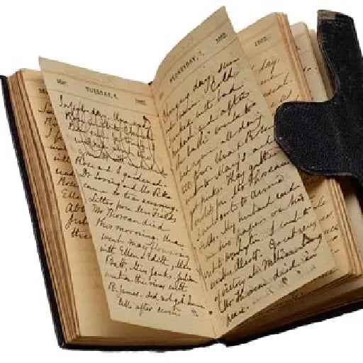 write a diary from their perspective