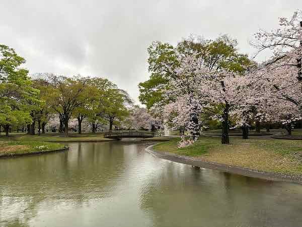 Yoyogi Park - Nice stroll / nature walk