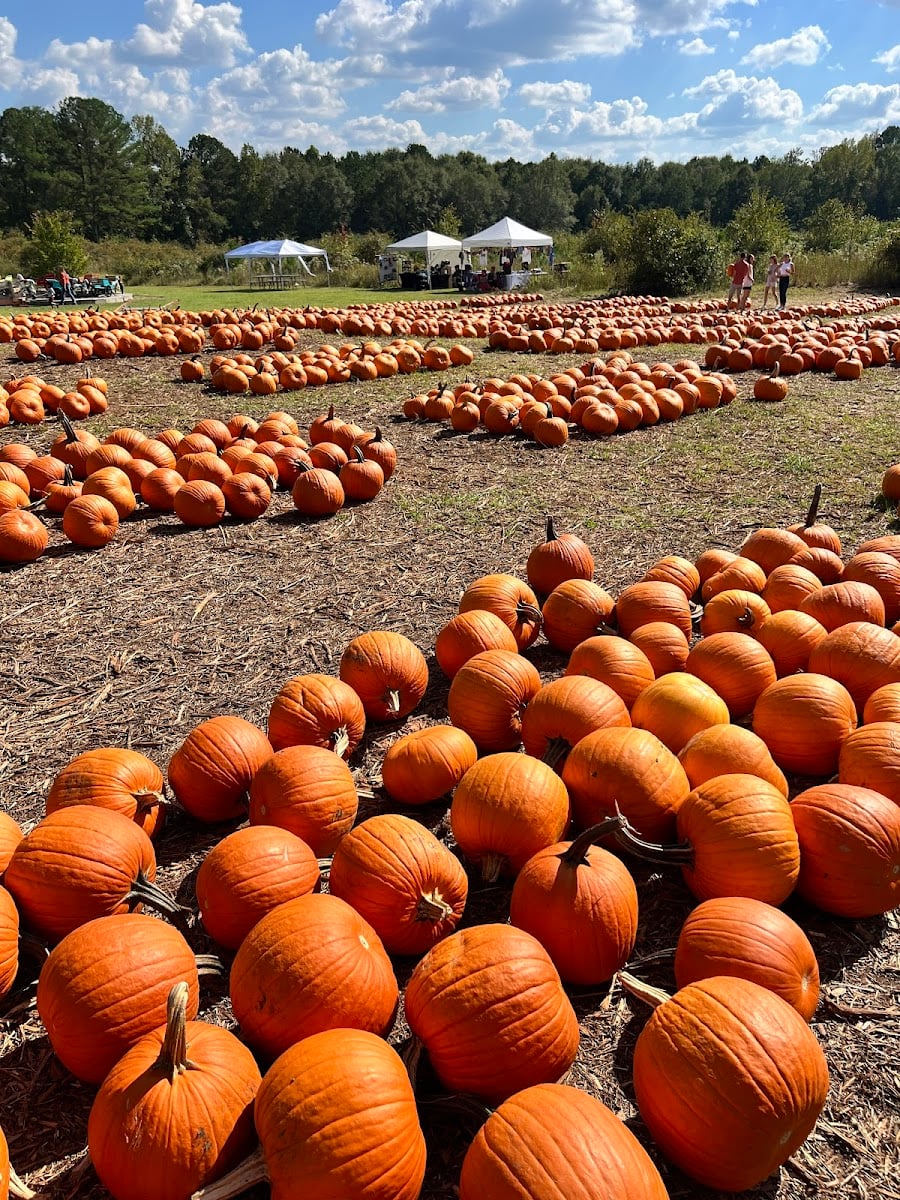 Berry Patch Farms 馃崄 - Woodstock, GA