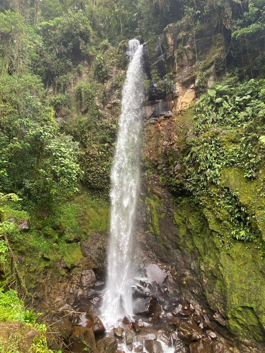 Las Tres Cascadas - Hiking Area · Chiriquí Province, Los Naranjos