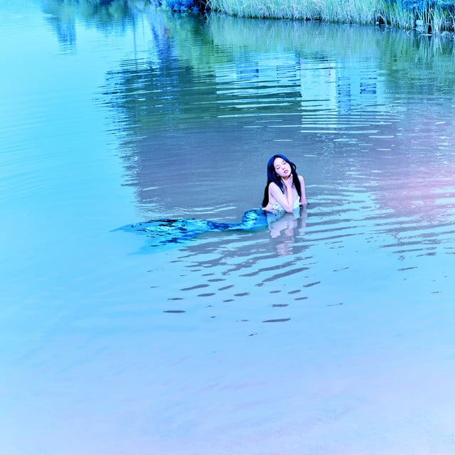 PADO - Album Β· BIBI