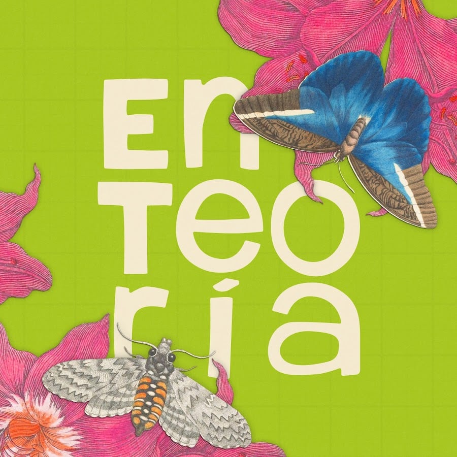 En Teoría - YouTube