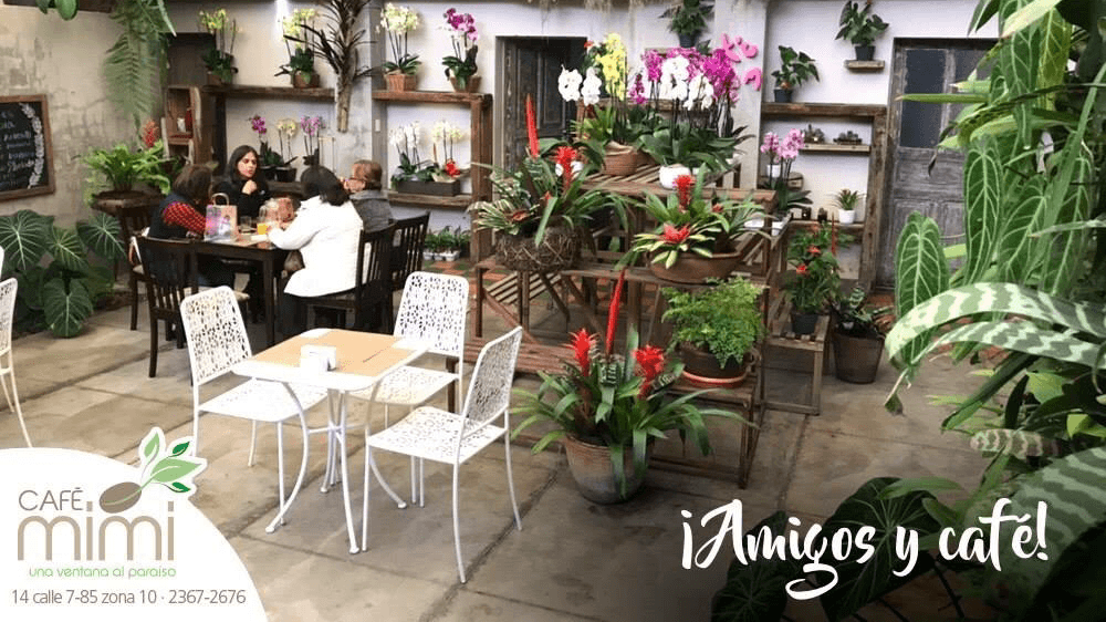 Cafe Mimi