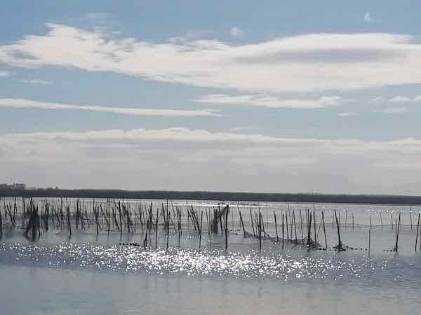 Albufera
