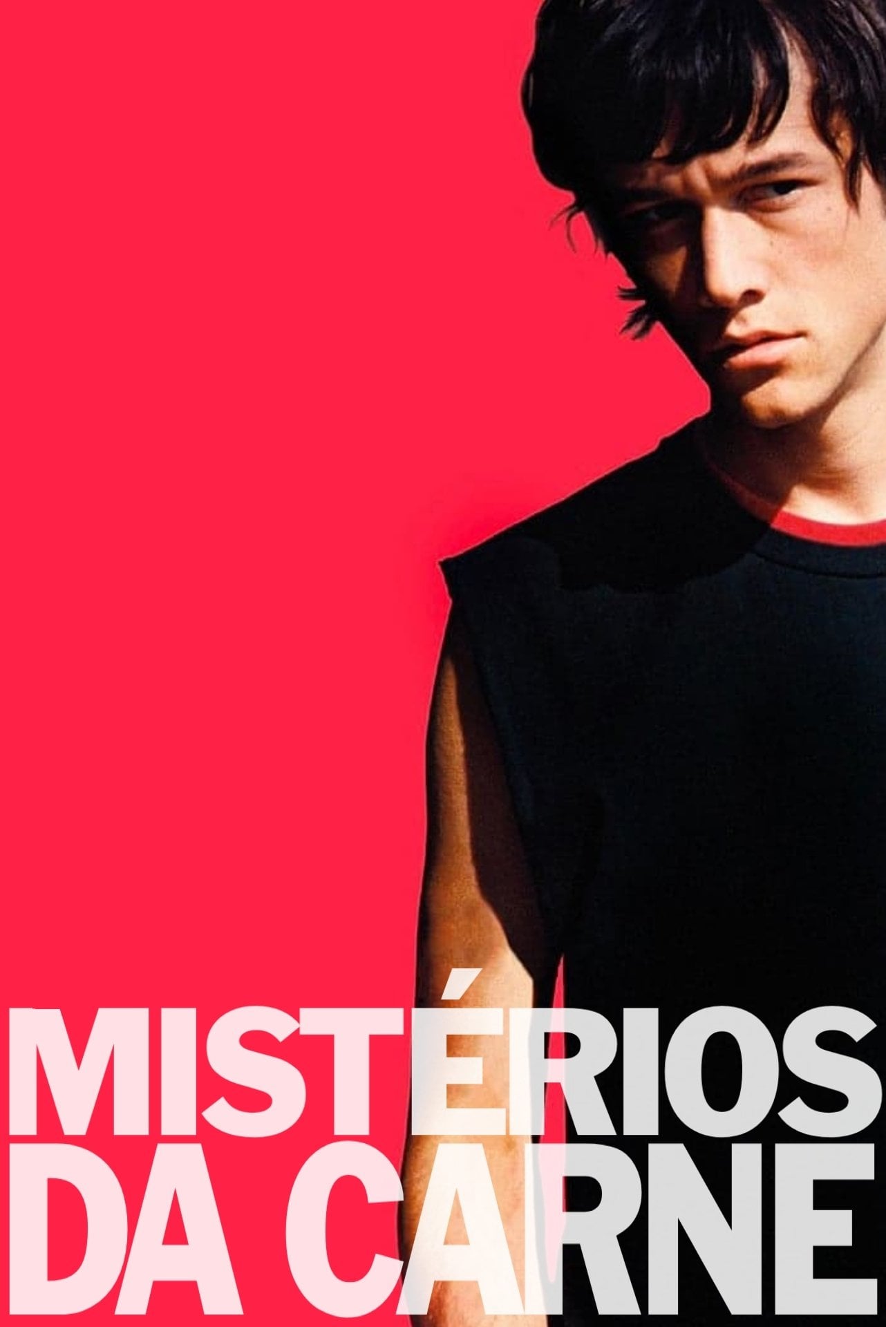 Mysterious Skin - Gregg Araki · 2005