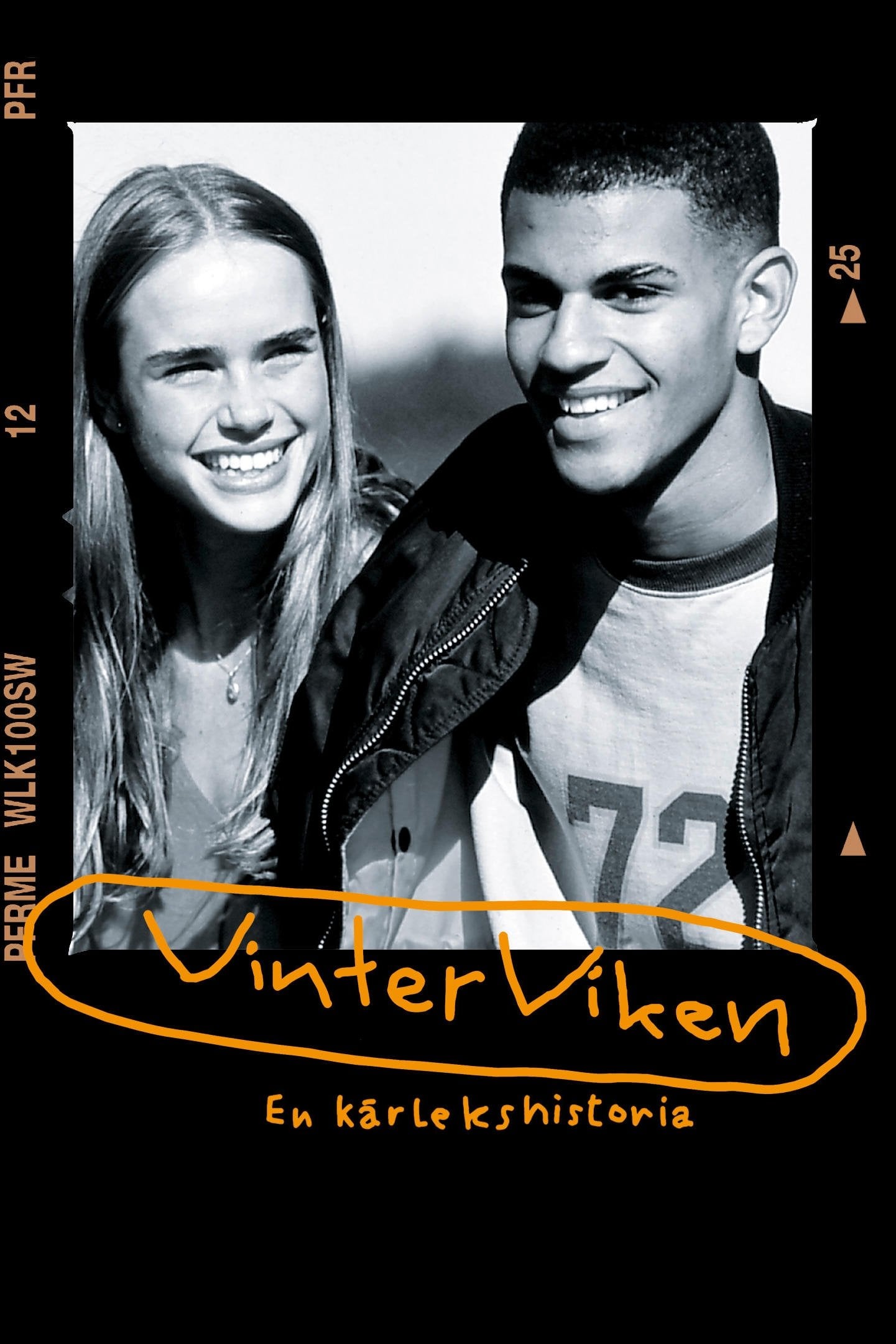 Vinterviken - Harald Hamrell · 1996