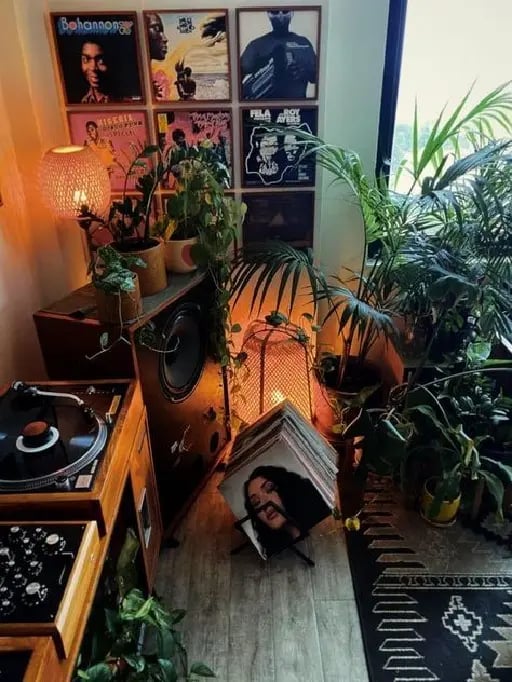 Plantas. - Cuantas más mejor.