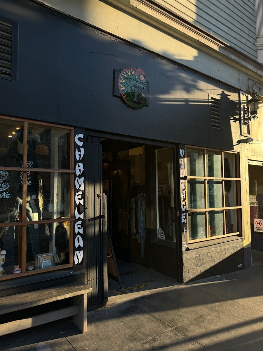 Chameleon Vintage Haight