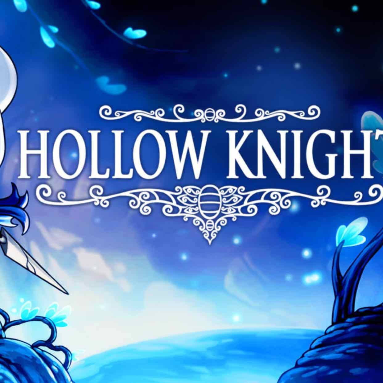 Hollow knight