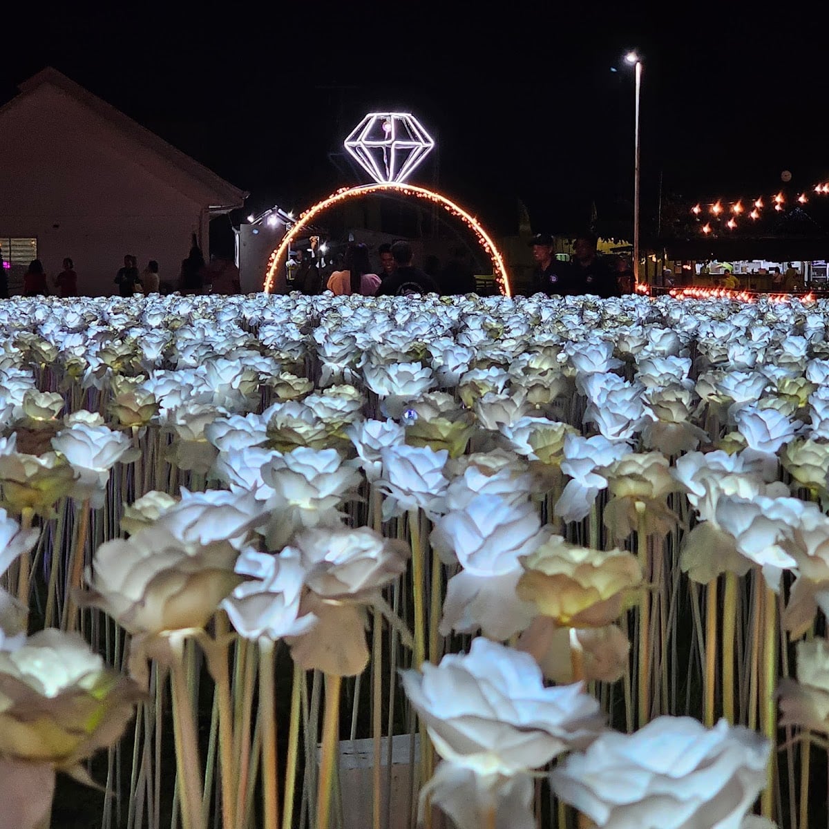 10000 Roses Cafe & More