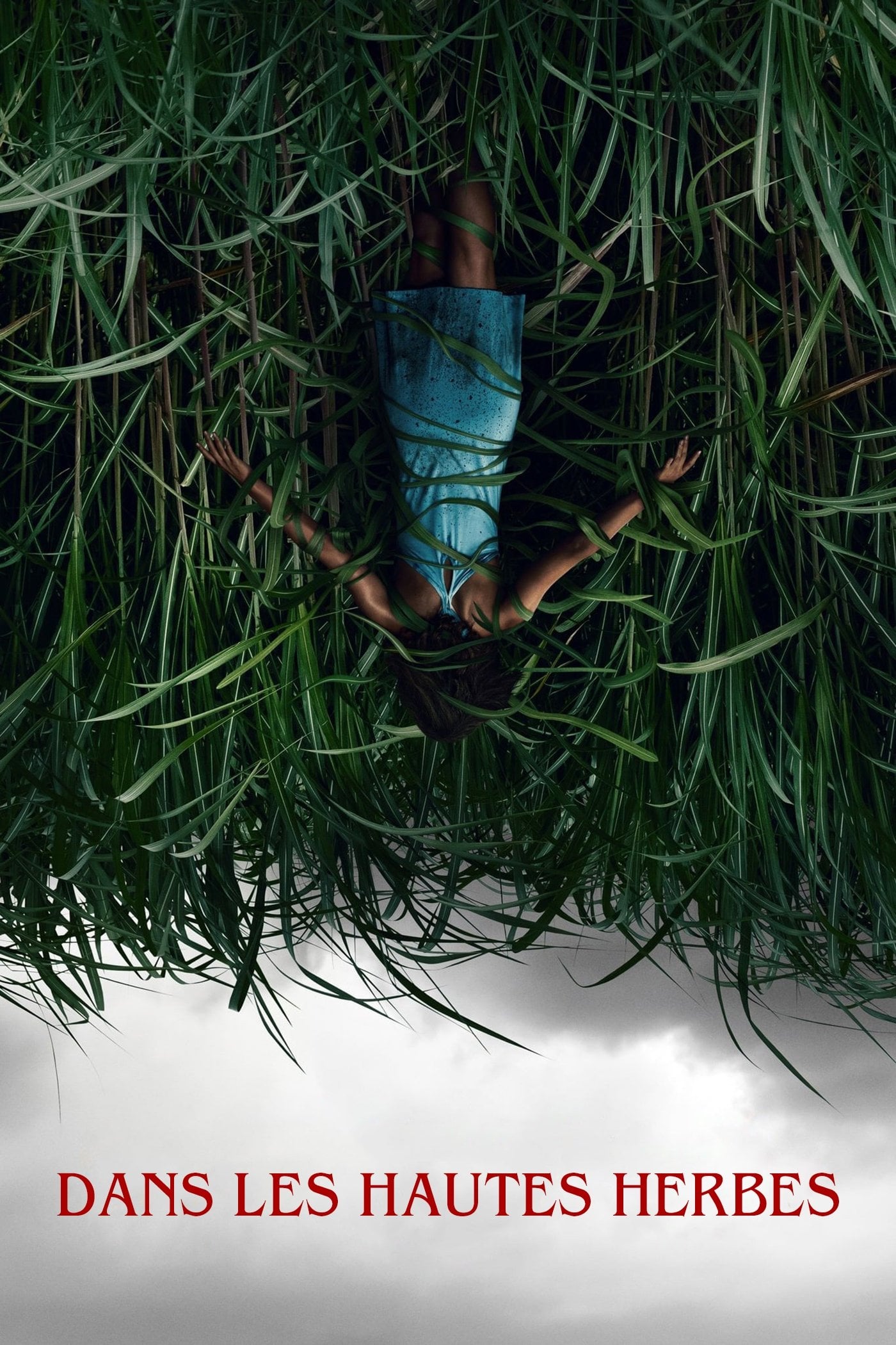 Dans les hautes herbes - Vincenzo Natali · 2019