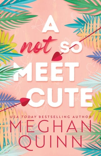 A Not So Meet Cute - Meghan Quinn · 2023