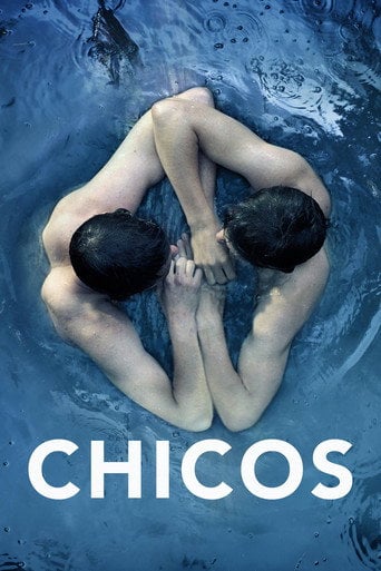 Chicos - Mischa Kamp · 2014