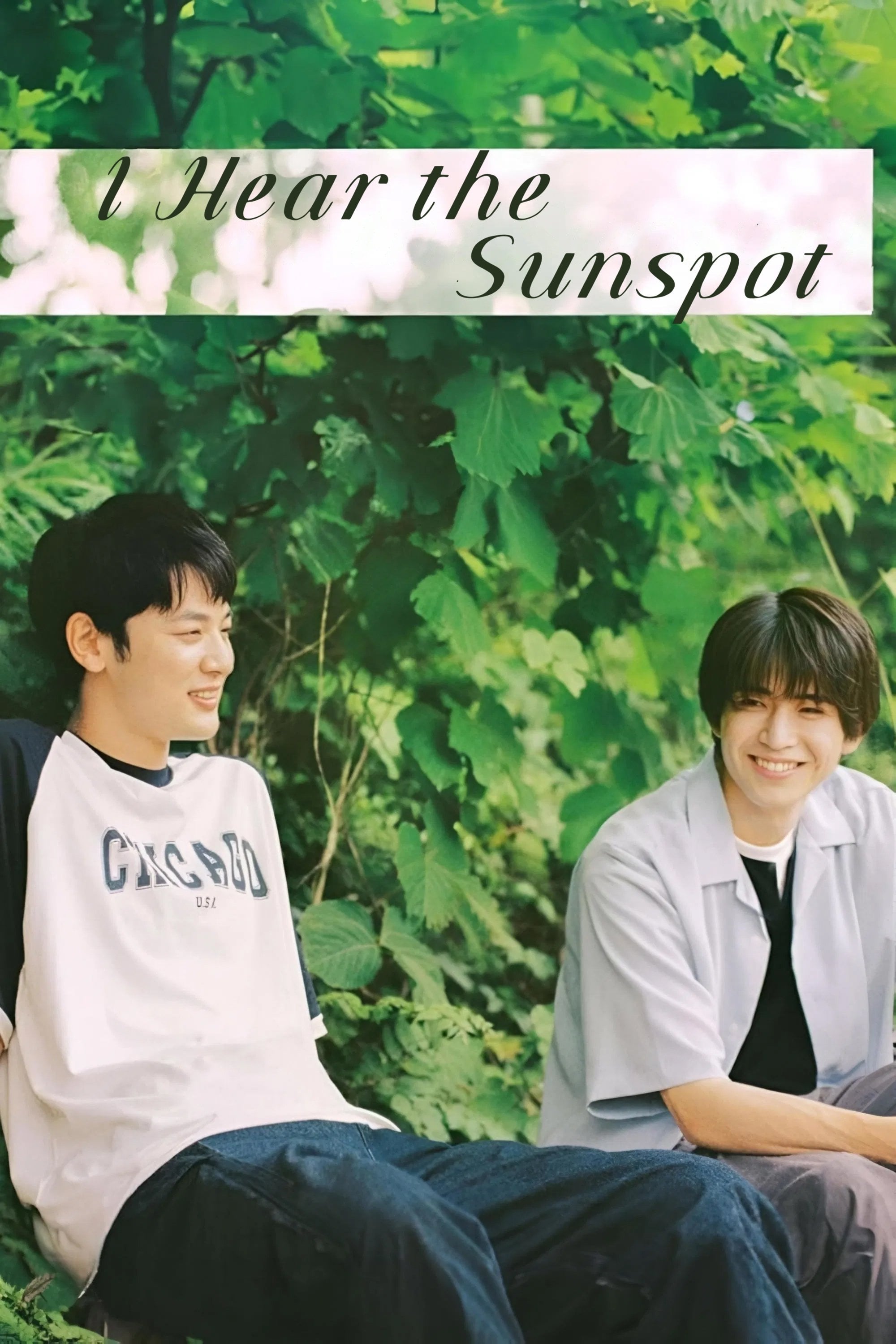 I Hear the Sunspot - 2024