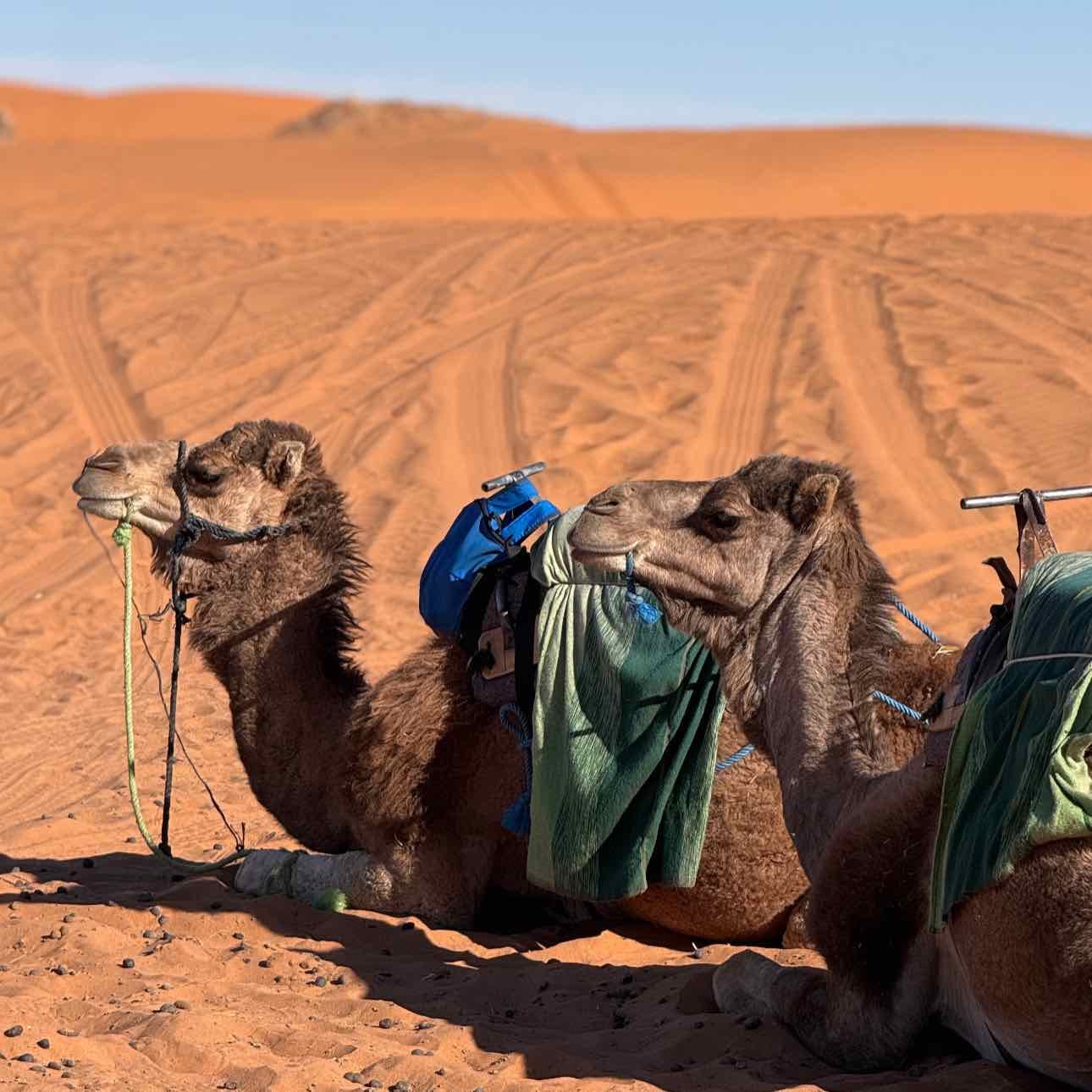 Desierto Merzouga