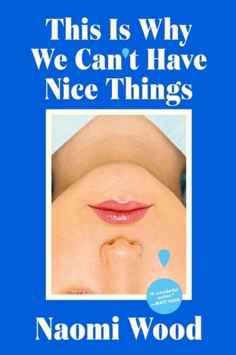 This Is Why We Can't Have Nice Things - Naomi Wood · 2024