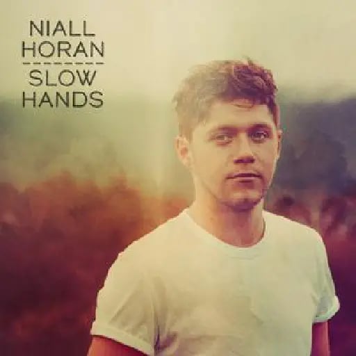 Slow Hands - Song · Niall Horan