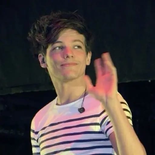 "the fans always tell me that i'm beautiful, but no one will ever be as beautiful as them" - -Louis Tomlinson