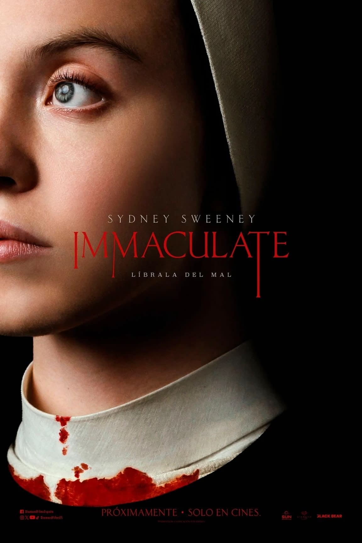 Inmaculada - Michael Mohan · 2024