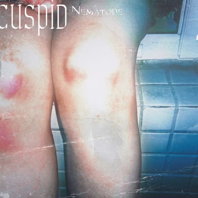 Nematode - Track · Cuspid