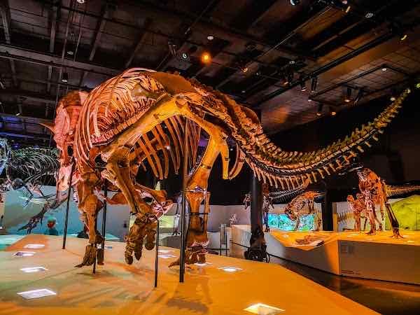 Houston Museum of Natural Science