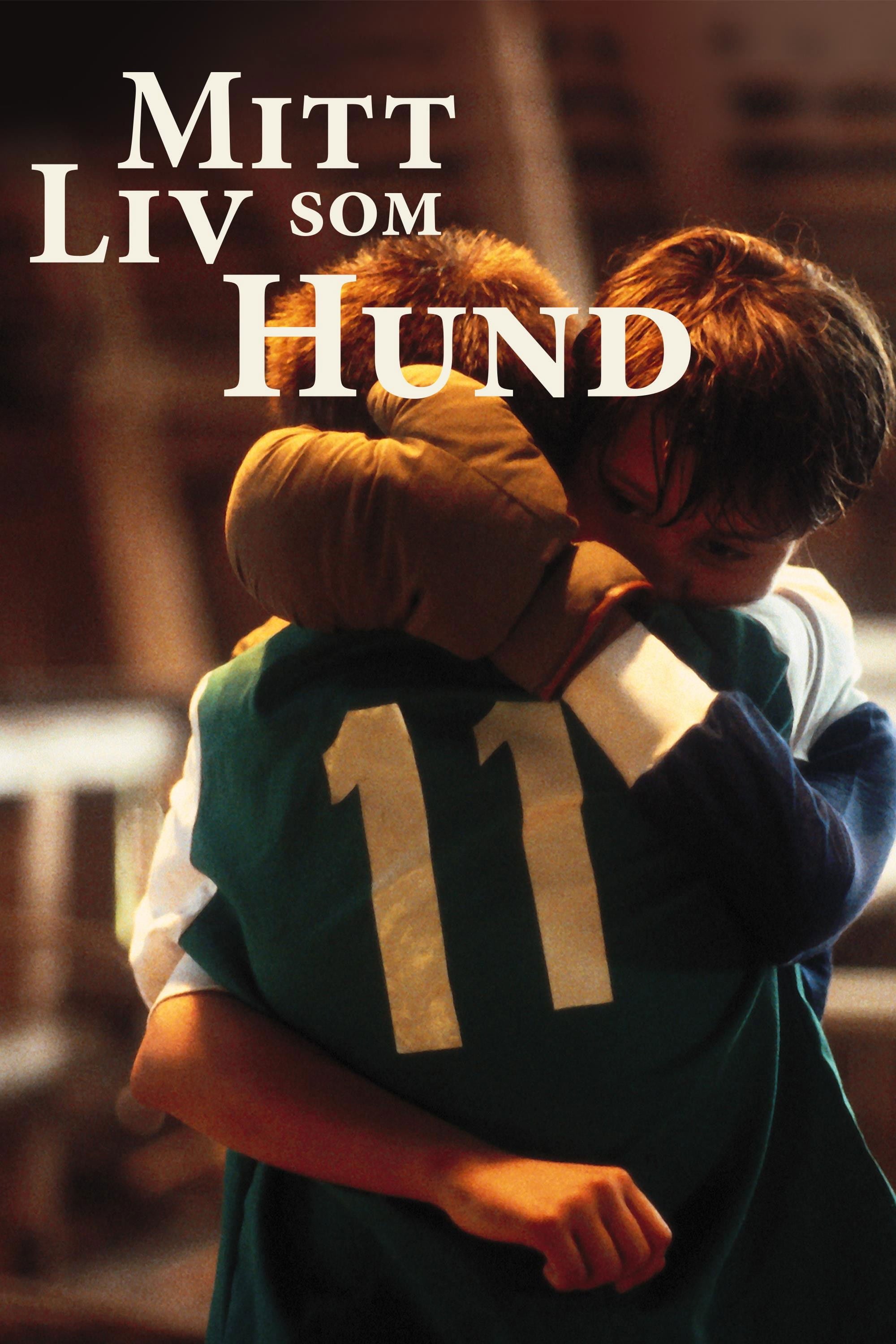 Mitt liv som hund - Lasse Hallström · 1985