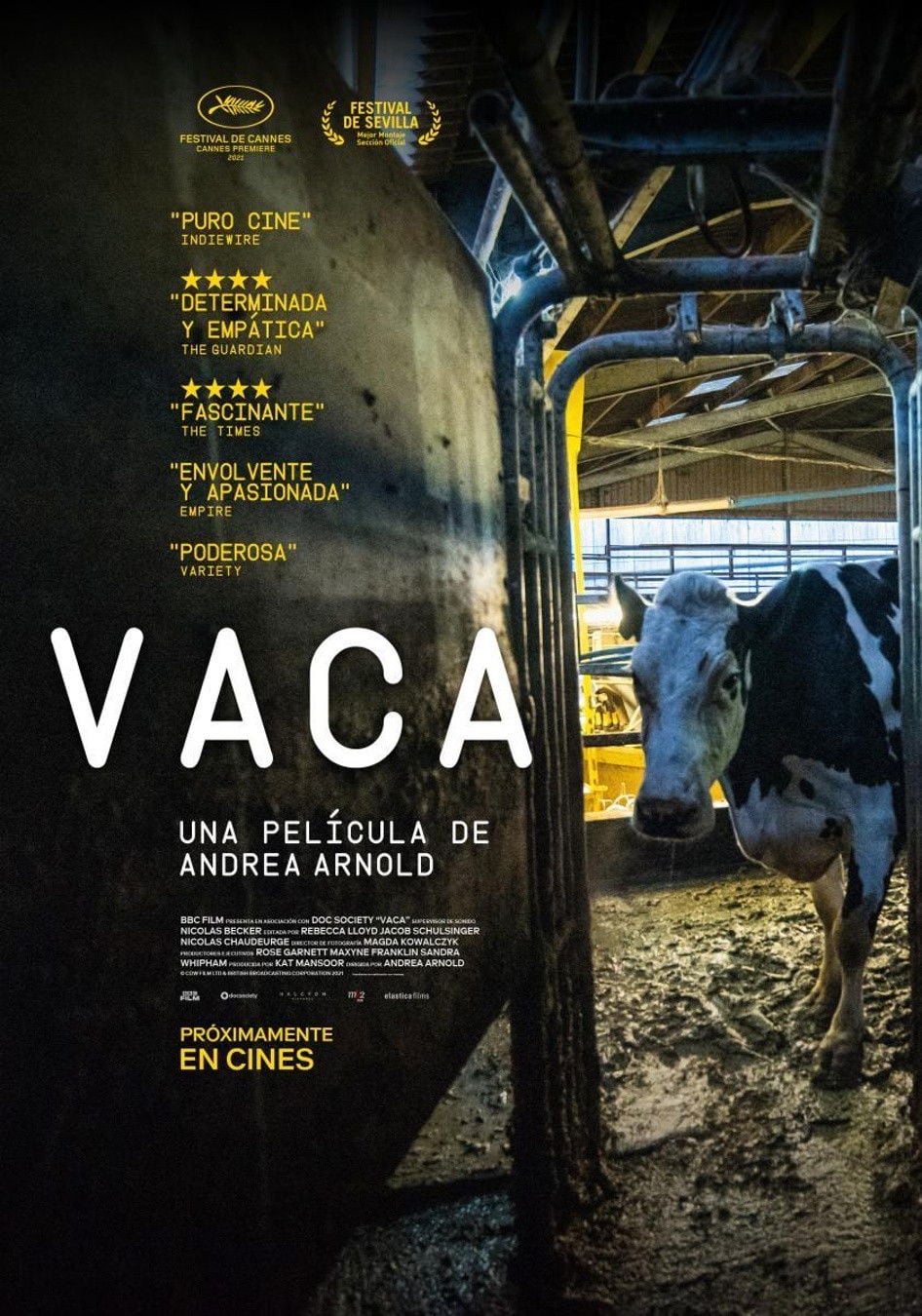 Vaca - Andrea Arnold · 2022