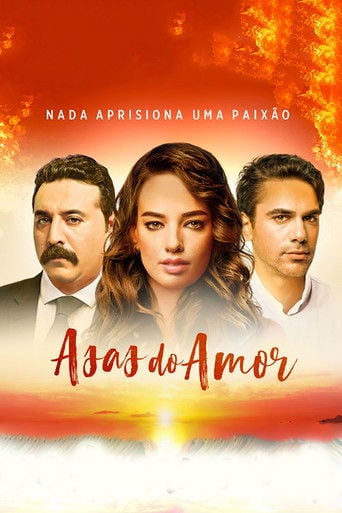Asas do amor - Deniz Akçay · 2016