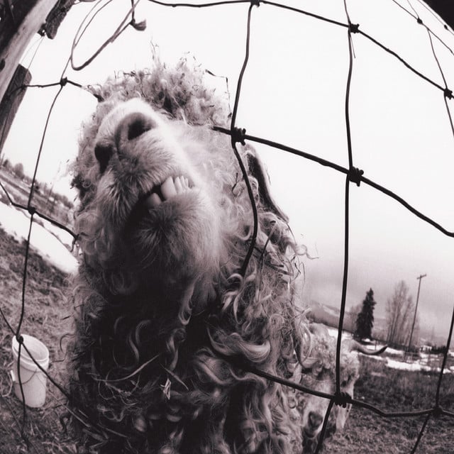 Vs. - Album · Pearl Jam