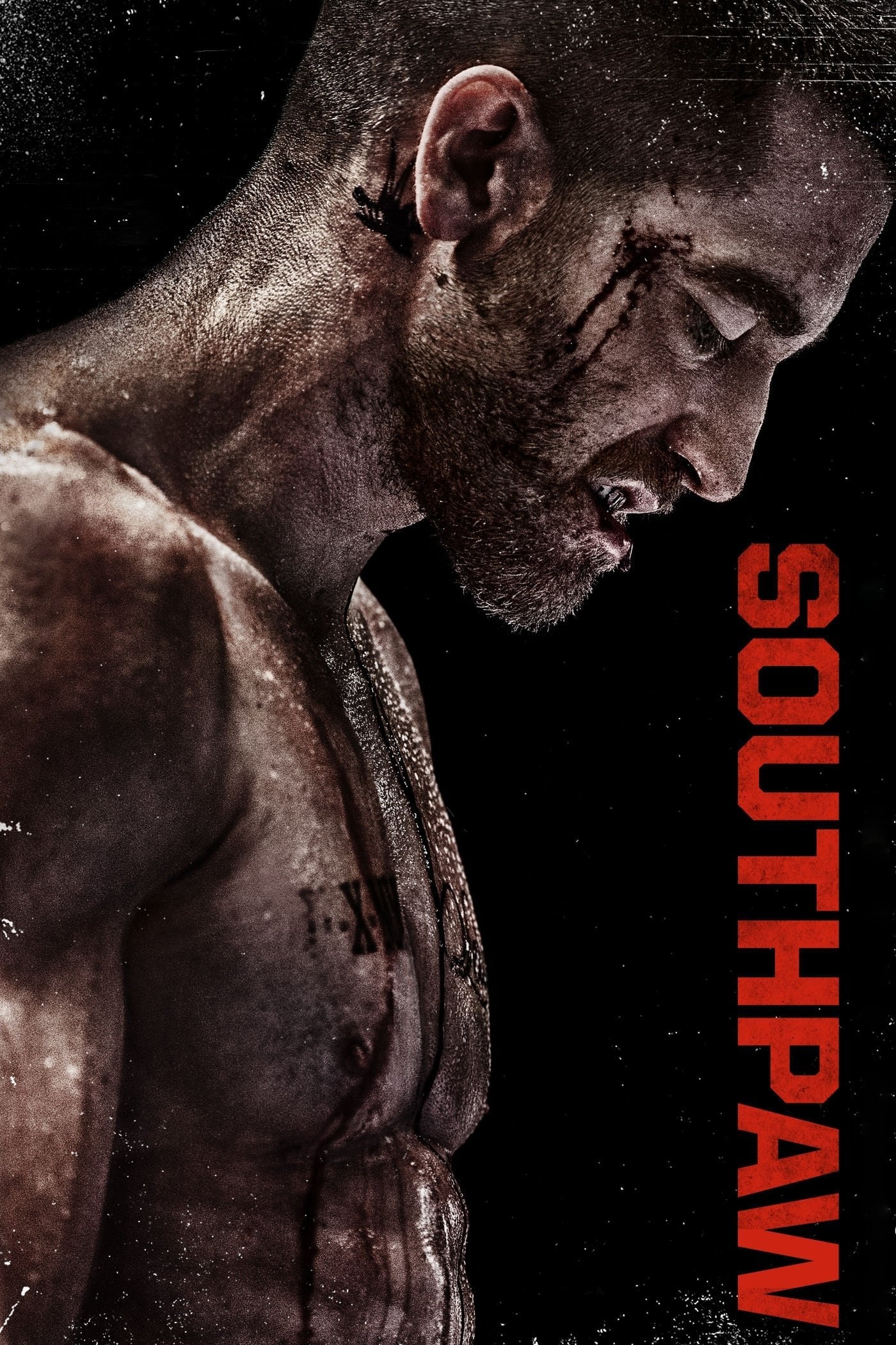 Southpaw - Antoine Fuqua · 2015