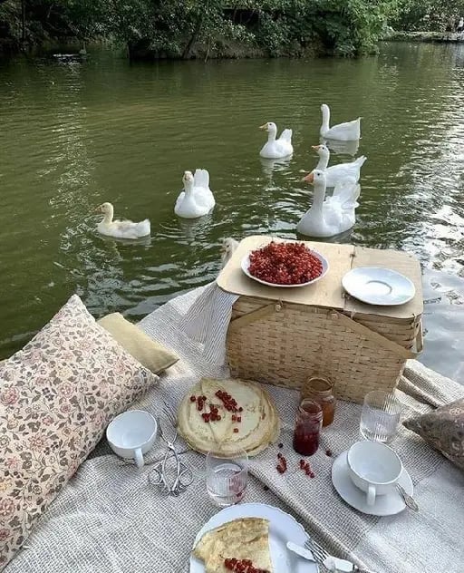 surprise picnic