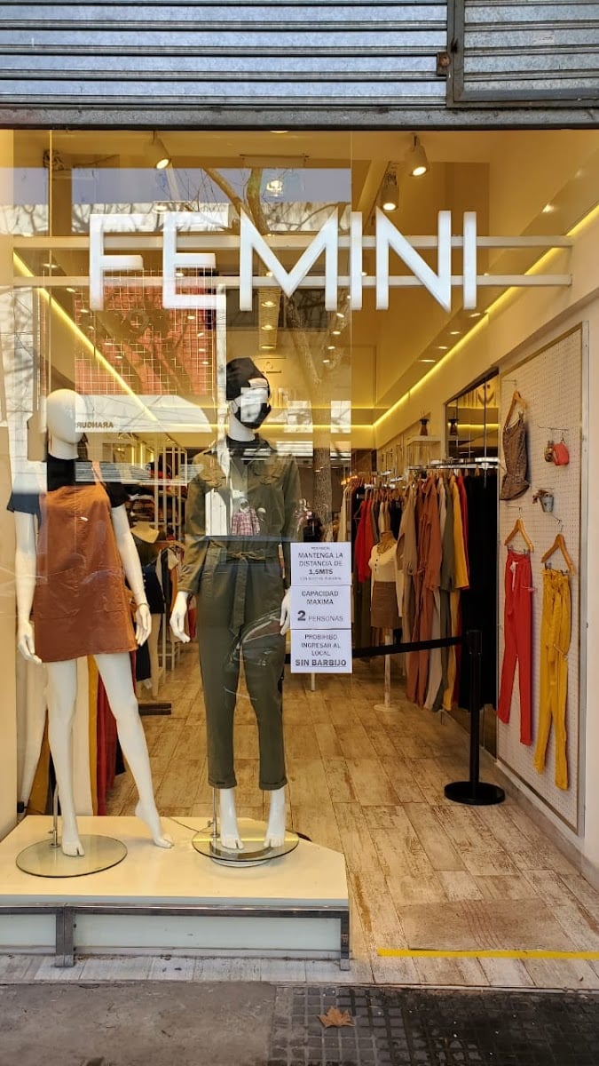 FEMINI