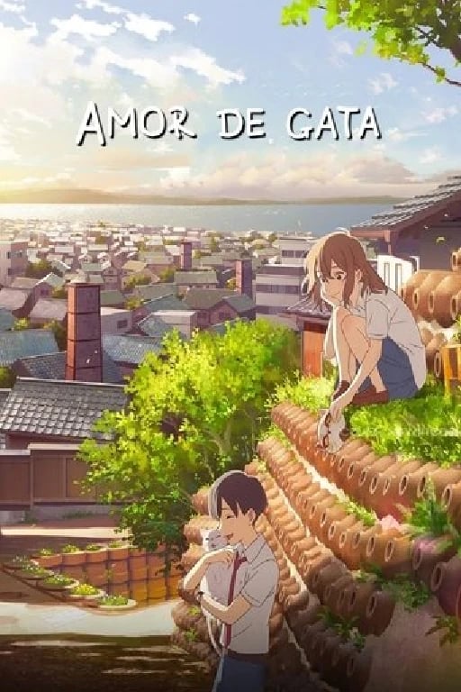 Amor de gata - 柴山智隆 · 2020