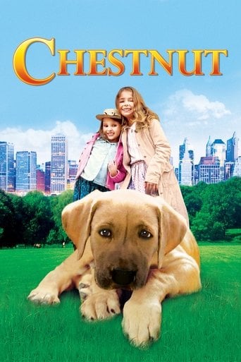 Chestnut: Hero of Central Park - Robert Vince · 2004