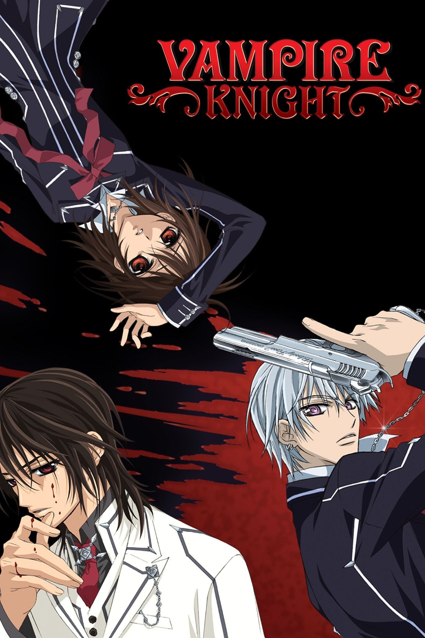 Vampire Knight - Matsuri Hino · 2008