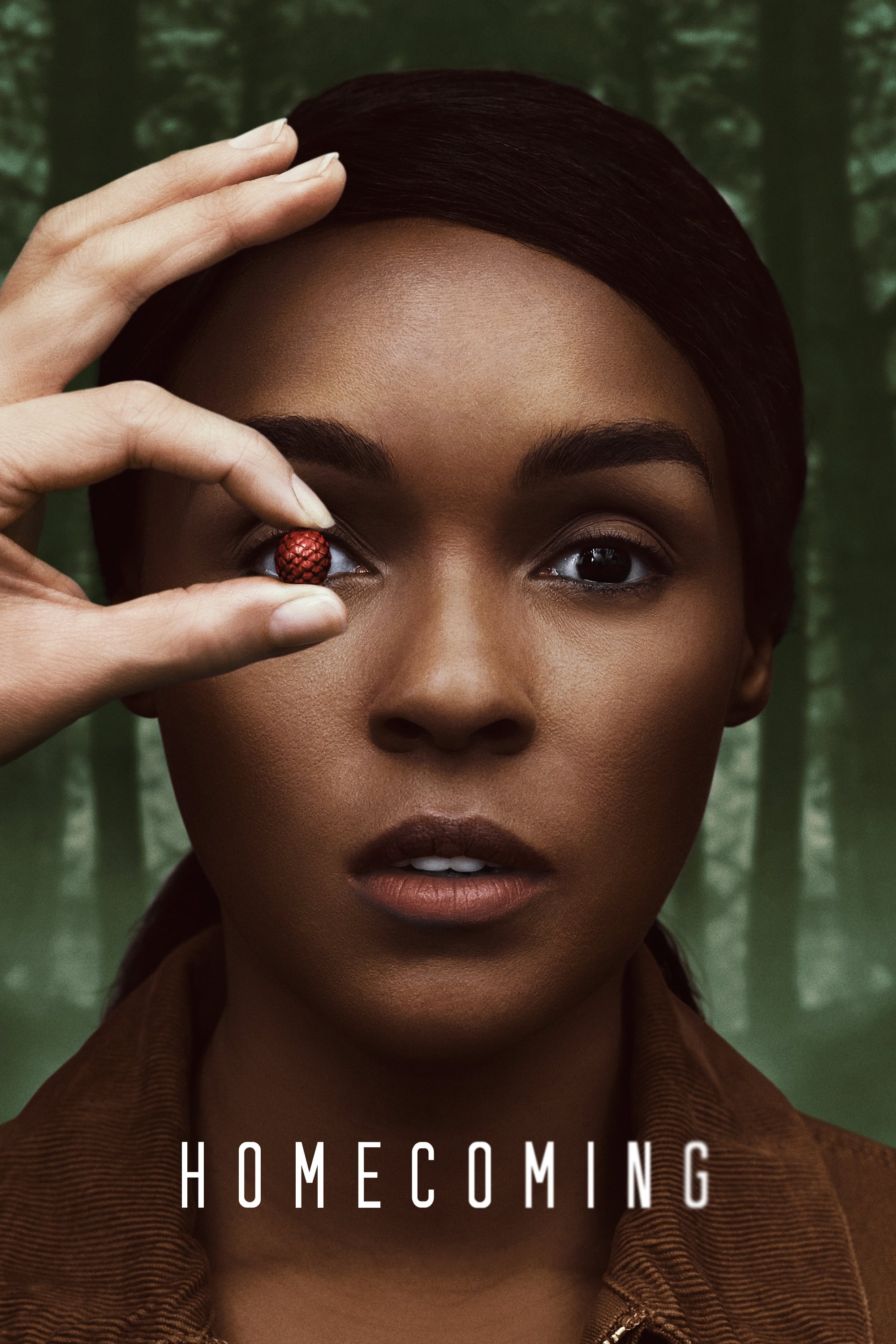Homecoming - Sam Esmail, Micah Bloomberg, Eli Horowitz · 2018