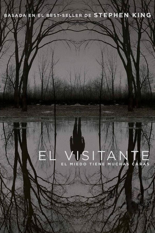 El visitante - Richard Price · 2020