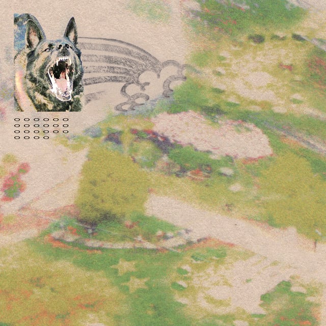 Girl with Fish - Album · feeble little horse