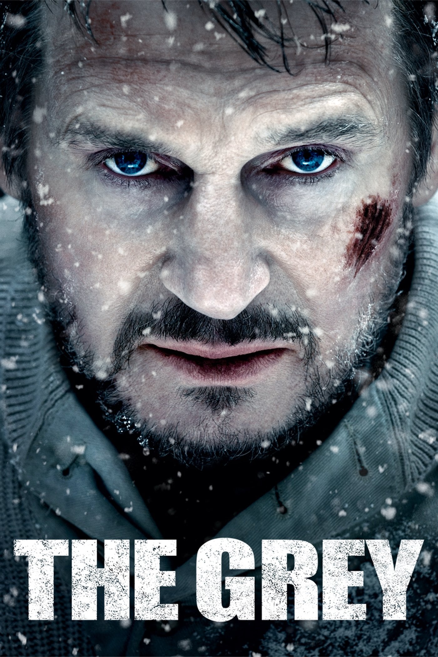 Un día para sobrevivir - Joe Carnahan · 2011