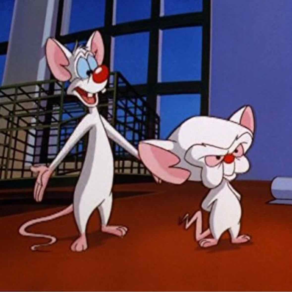 Pinky and the Brain - (Pinky y Cerebro)